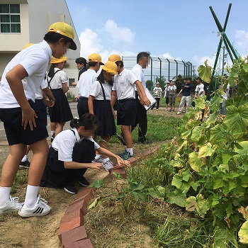 図１　公園づくり